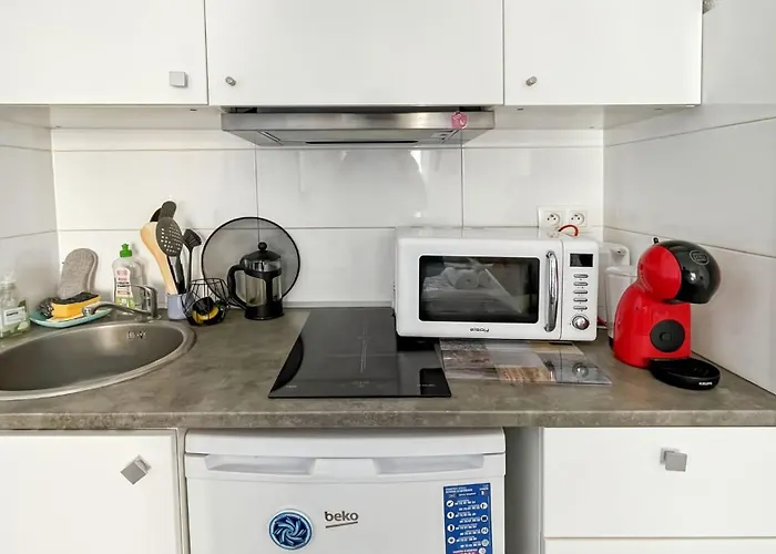 Modest In Le Suquet *