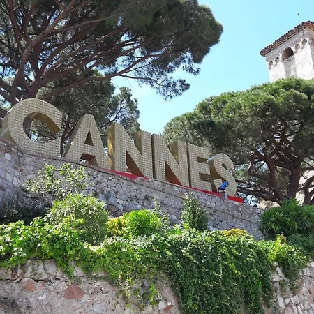 Modest In Le Suquet Cannes